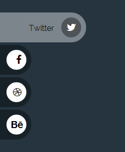 rolling css social button