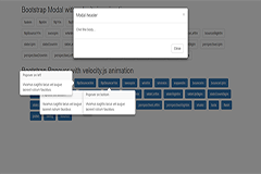 Bootstrap Modal and popover with Velocity.js animation