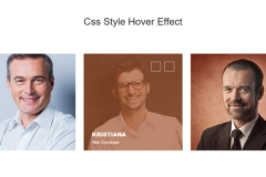 Bootstrap Style Hover Effect