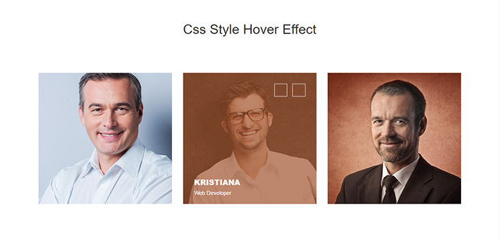 Bootstrap Style Hover Effect