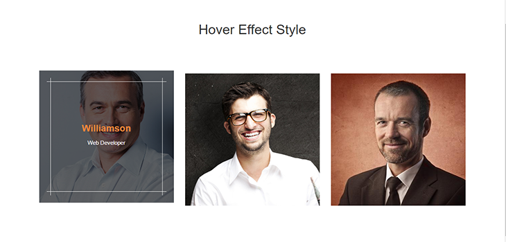 Bootstrap Responsive Hover Effect Style