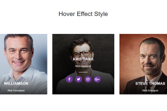 Bootstrap Hover Effect