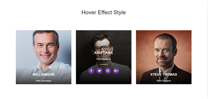 Bootstrap Hover Effect