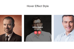 Bootstrap Simple Hover Effect Style