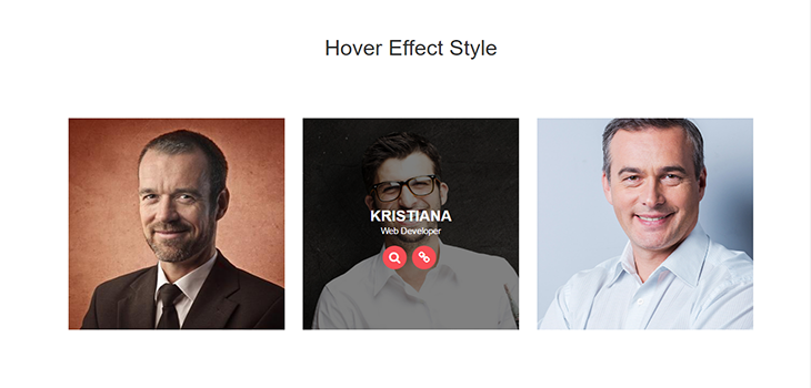 Bootstrap Simple Hover Effect Style