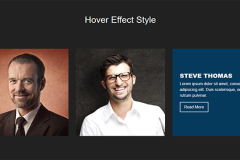 Bootstrap Simple Hover Effect Style